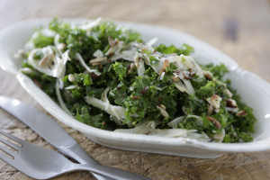 Kale – fennel salad + toasted hazelnuts