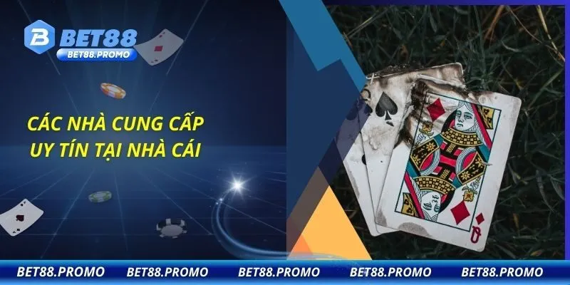 Các nhà cung cấp uy tín tại nhà cái