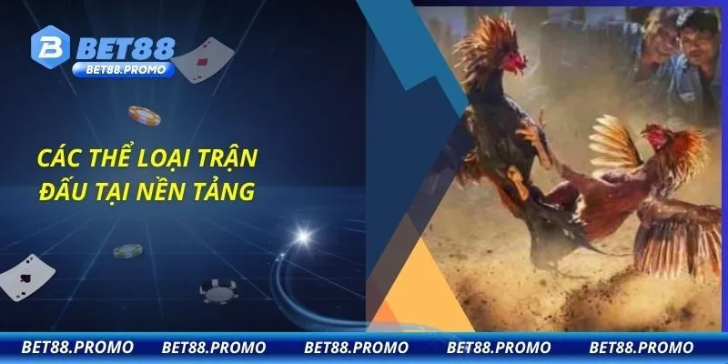 Các thể loại trận đấu tại nền tảng