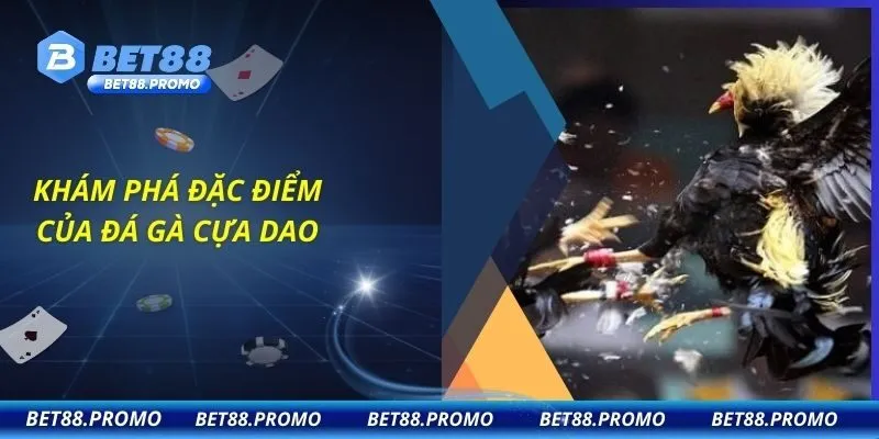 Khám phá đặc điểm của đá gà cựa dao