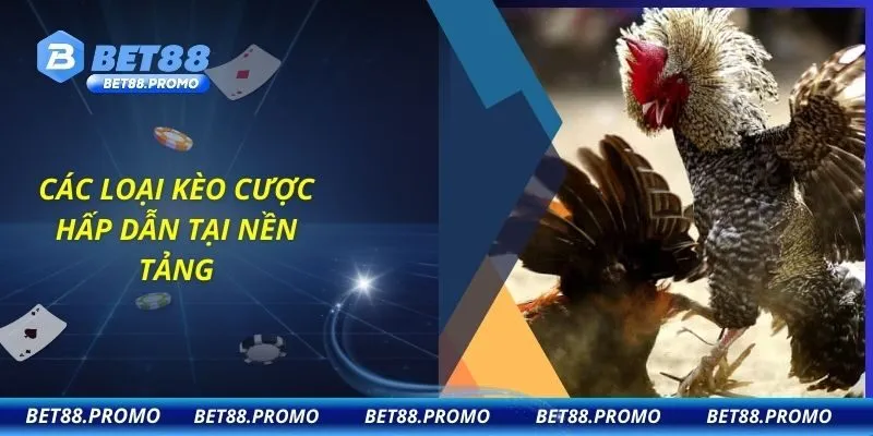 Các loại kèo cược hấp dẫn tại nền tảng