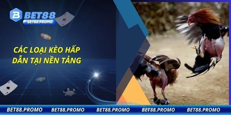 Các loại kèo hấp dẫn tại nền tảng