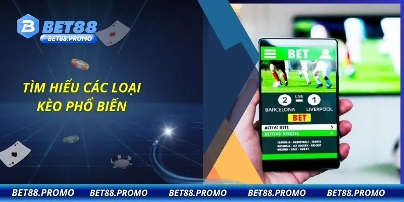 Tìm hiểu các loại kèo phổ biến