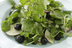 Watercress berry salad